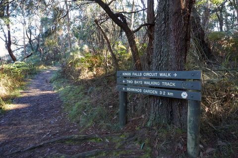 Arthurs Seat To Kings Falls Walk - Tourism Gold Coast 0