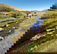 Australian Alps Walking Track - Tourism Gold Coast