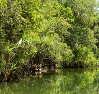 Berry Springs Nature Park - Tourism Gold Coast