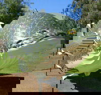 Big Murray Cod - Tourism Gold Coast