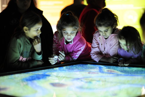 Bilya Koort Boodja - Centre For Nyoongar Culture And Environmental Knowledge - Tourism Gold Coast 0