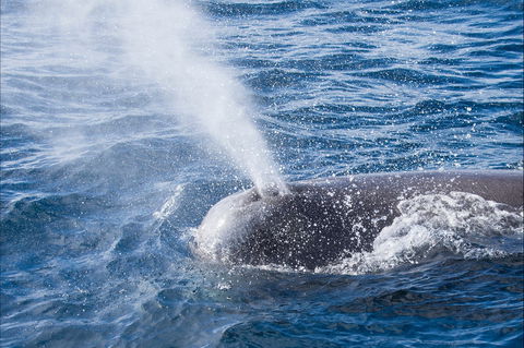 Bremer Bay Canyon - Tourism Gold Coast 0