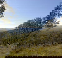 Bunyip State Park - Tourism Gold Coast