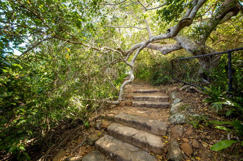 Capricorn Coast National Park - Tourism Gold Coast 2