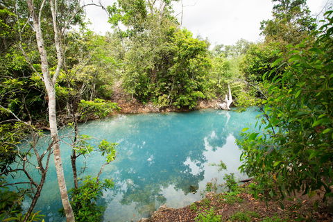Cardwell Spa Pool - Tourism Gold Coast 2