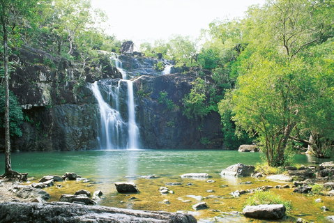 Cedar Creek Falls - Tourism Gold Coast 0
