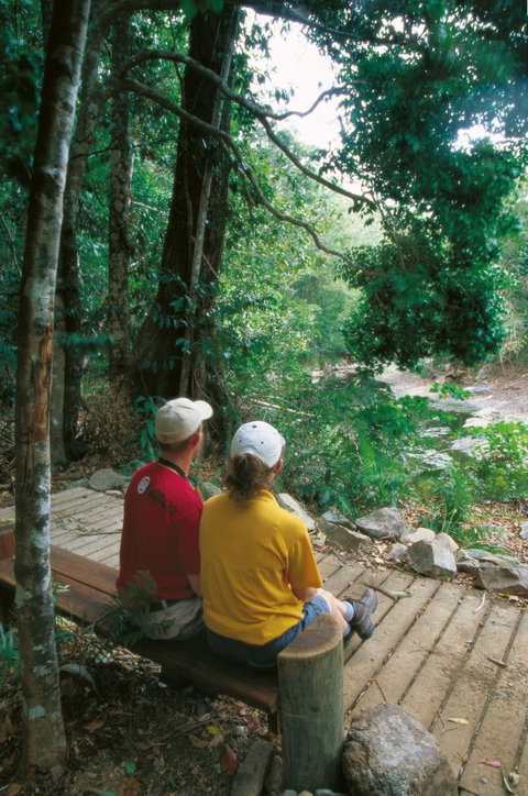 Cedar Creek Falls - Tourism Gold Coast 1
