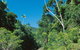Cedar Creek Falls - thumb 2