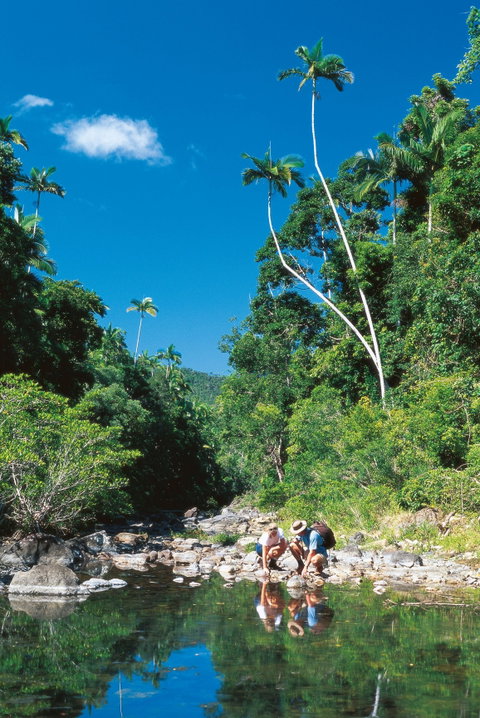 Cedar Creek Falls - Tourism Gold Coast 2