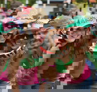 Chinchilla - Tourism Gold Coast