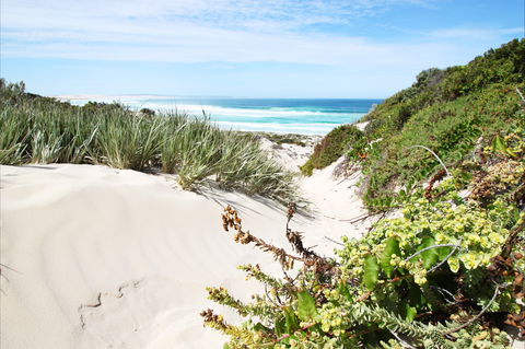 Coffin Bay National Park - Tourism Gold Coast 1