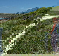 Conjola Beach Picnic Area - Tourism Gold Coast