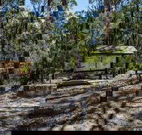 Couridjah Corridor Walk - Tourism Gold Coast