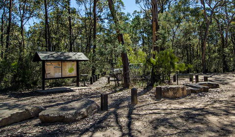 Couridjah Corridor Walk - Tourism Gold Coast 0