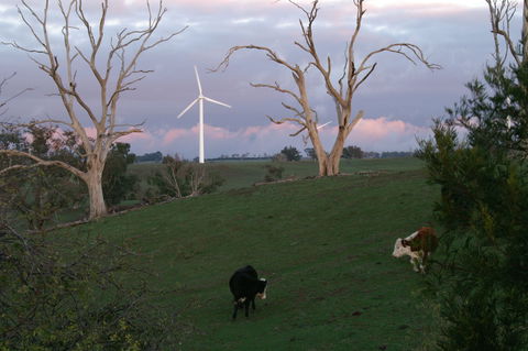 Crookwell Wind Farm - Tourism Gold Coast 1