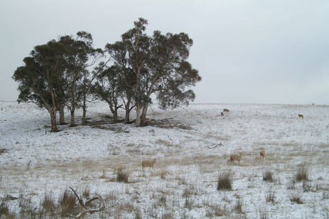 Crookwell Wind Farm - Tourism Gold Coast 2
