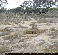 Culgoa Connellys Track - Tourism Gold Coast