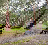 Currawong Bush Park - Tourism Gold Coast