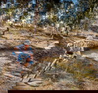 Cycle Mogo State Forest - Tourism Gold Coast