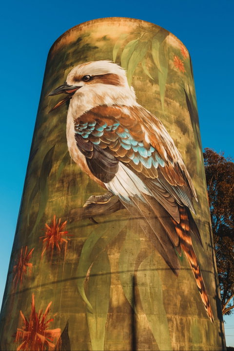 Deniliquin Water Tower Mural - Tourism Gold Coast 0