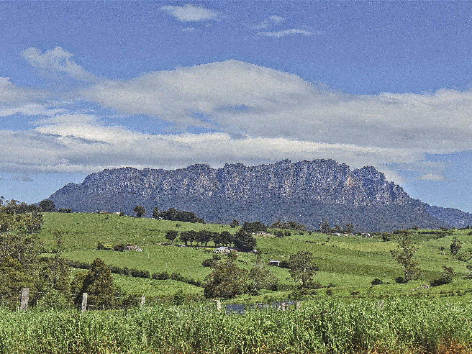 Weegena TAS Tourism Gold Coast