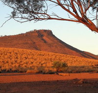 Dutchman Stern Conservation Park Trail - Tourism Gold Coast