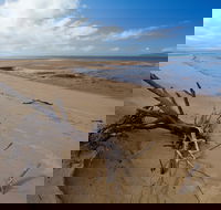 Edmund Kennedy Girramay National Park - Tourism Gold Coast