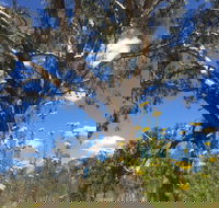 Euroa Arboretum - Tourism Gold Coast