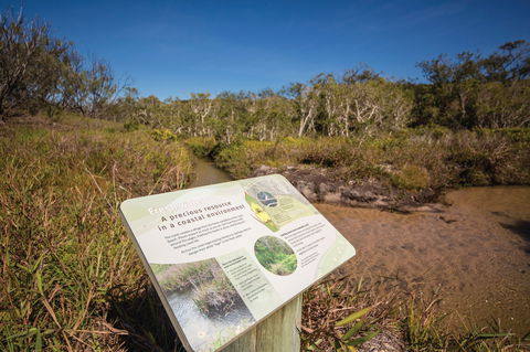 Freshwater Creek Track, Byfield National Park - Tourism Gold Coast 1