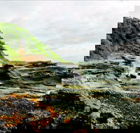 Glenrock State Conservation Area - Tourism Gold Coast