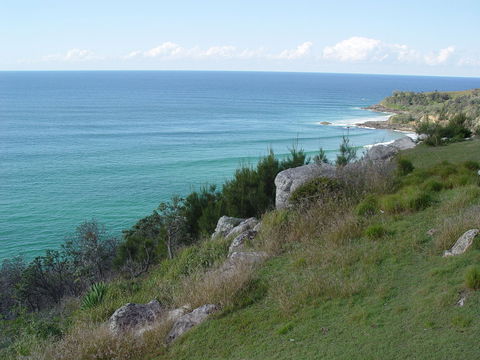 Goanna Headland - Tourism Gold Coast 1