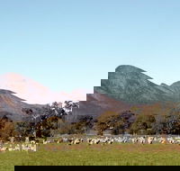 Grampians