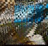 Gulaga Mountain Walk - Tourism Gold Coast