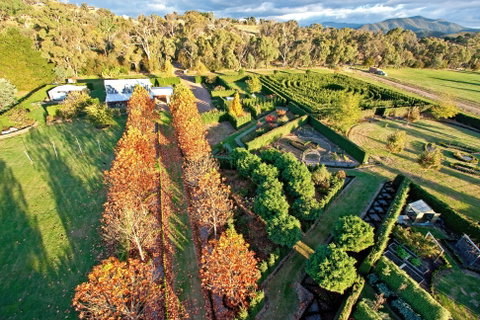 High Country Maze - Tourism Gold Coast 1