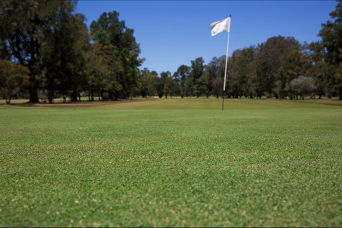 Howlong Golf Resort - Tourism Gold Coast 2