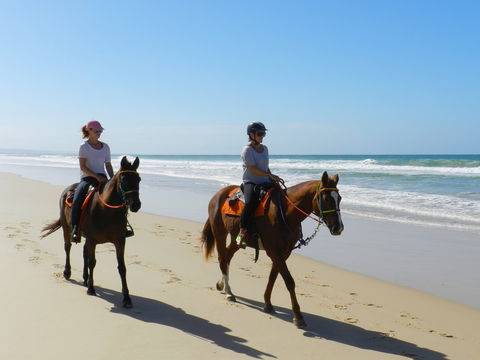 Inskip Peninsula Recreation Area - Tourism Gold Coast 2