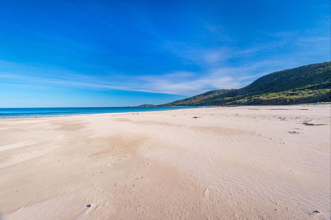 Island Beach - Tourism Gold Coast 0