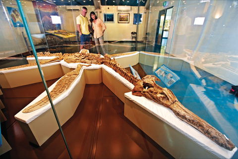 Kronosaurus Korner - Tourism Gold Coast 1