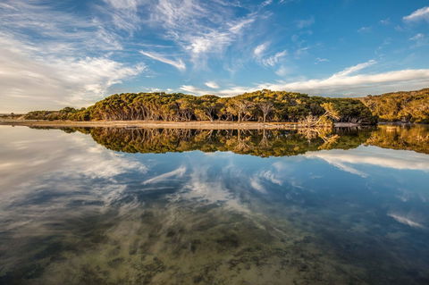 Lashmar Conservation Park - Tourism Gold Coast 0