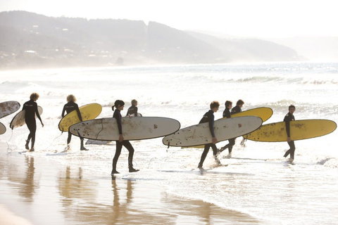 Lorne - Tourism Gold Coast 1