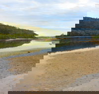 Mangrove Walk - Tourism Gold Coast