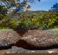 Marramarra Ridge to Smugglers Ridge walking track - Tourism Gold Coast