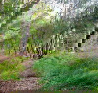 Meroo Lake walking track - Tourism Gold Coast
