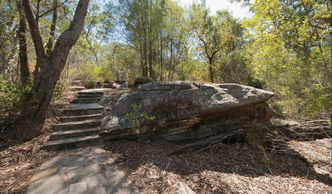 Mooney Mooney Nature Walk - Tourism Gold Coast 0