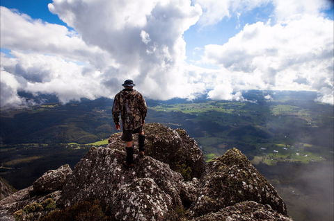 Mount Roland - Tourism Gold Coast 2