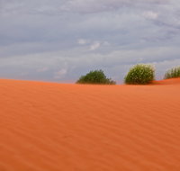 Munga-Thirri - Simpson Desert Conservation Park and Regional Reserve - Tourism Gold Coast