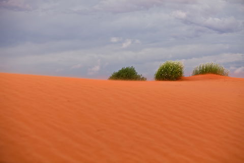 Munga-Thirri - Simpson Desert Conservation Park And Regional Reserve - Tourism Gold Coast 0