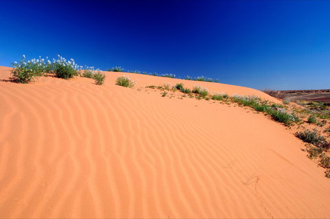 Munga-Thirri - Simpson Desert Conservation Park And Regional Reserve - Tourism Gold Coast 1