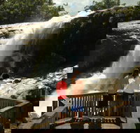 Murray Falls Girramay National Park - Tourism Gold Coast