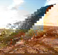 Natural Sciences Loop - Tourism Gold Coast
